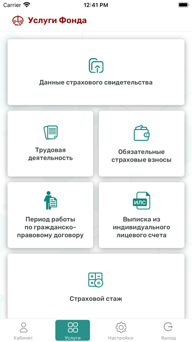 Скриншот ФСЗН 2