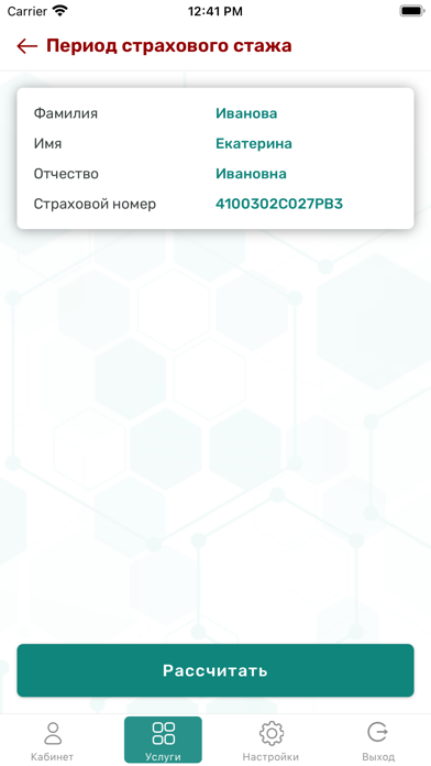 Скриншот ФСЗН 4
